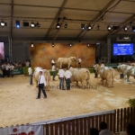 Sommet de l&#039;Élevage - 2013