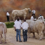 Sommet de l&#039;Élevage - 2013