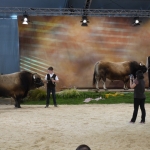 Sommet de l&#039;Élevage - 2013