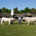 Hódmezõvásárhely 2009