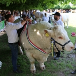 Hódmezővásárhely 2018