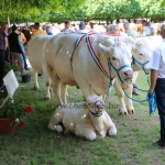 Hódmezővásárhely 2018
