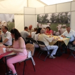 Hódmezővásárhely 2018