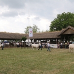 Hódmezővásárhely 2018