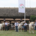 Hódmezővásárhely 2018