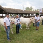 Hódmezővásárhely 2018
