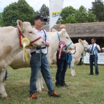 Hódmezővásárhely 2018