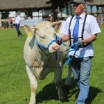 Hódmezővásárhely 2022