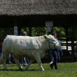 Hódmezővásárhely 2022