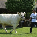 Hódmezővásárhely 2022