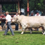 Hódmezõvásárhely 2004.