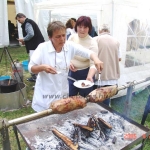 Hódmezõvásárhely 2005