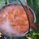 Hódmezõvásárhely 2005