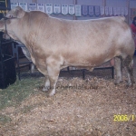 Kanada WCC 2006. nov. 