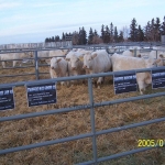 Kanada WCC 2006. nov. 