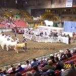Kanada WCC 2006. nov. 