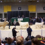 Kanada WCC 2006. nov. 