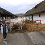 Vendégek Romániából