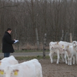 kullemi2015