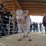 kullemi2015