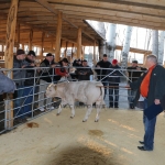 kullemi2015