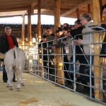 kullemi2015