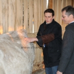 kullemi2015