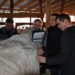 kullemi2015