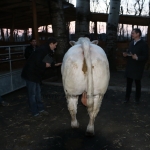 kullemi2015