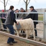 kullemi2015