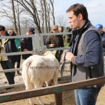 kullemi2015