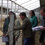 Szemle a Charolais Kft.-ben 2014.