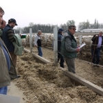 Szemle a Charolais Kft.-ben 2014.