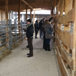lamivasar160126