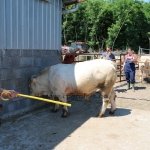npk160629