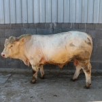 npk160629