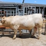 npk160629