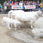 Nyitra 2013