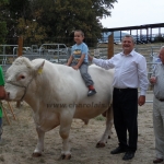 Nyitra 2013