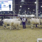 OMÉK 2013 képei