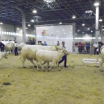 OMÉK 2013 képei