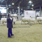 OMÉK 2013 képei