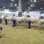 OMÉK 2013 képei