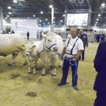 OMÉK 2013 képei