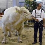 OMÉK 2013 képei