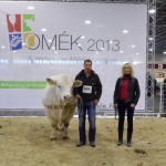 OMÉK 2013 képei