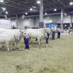 OMÉK 2013 képei