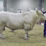 OMÉK 2013 képei