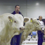 OMÉK 2013 képei