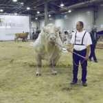 OMÉK 2013 képei